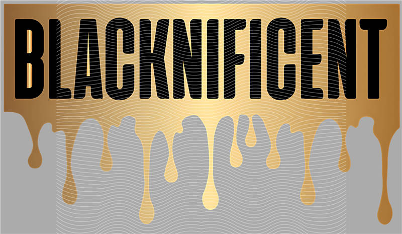 latest edition-KNY 338